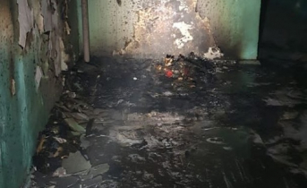 Пожар в Мурманской области Последствия пожара