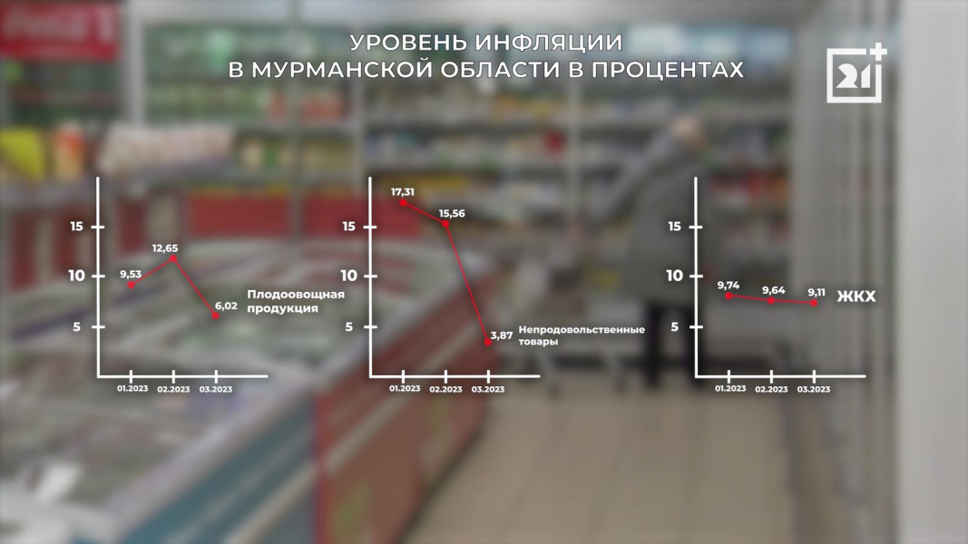 Некоторые продукты стали дешевле в Мурманске снижение инфляции