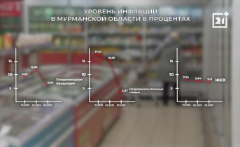 Некоторые продукты стали дешевле в Мурманске снижение инфляции
