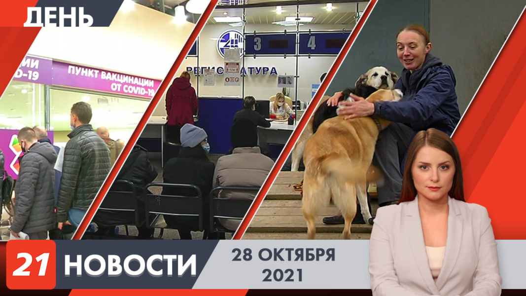 Дневные новости