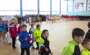 Спортивные команды в Мурманской области поддержат крупной суммой Спортивные команды в Мурманской области поддержат крупной суммой