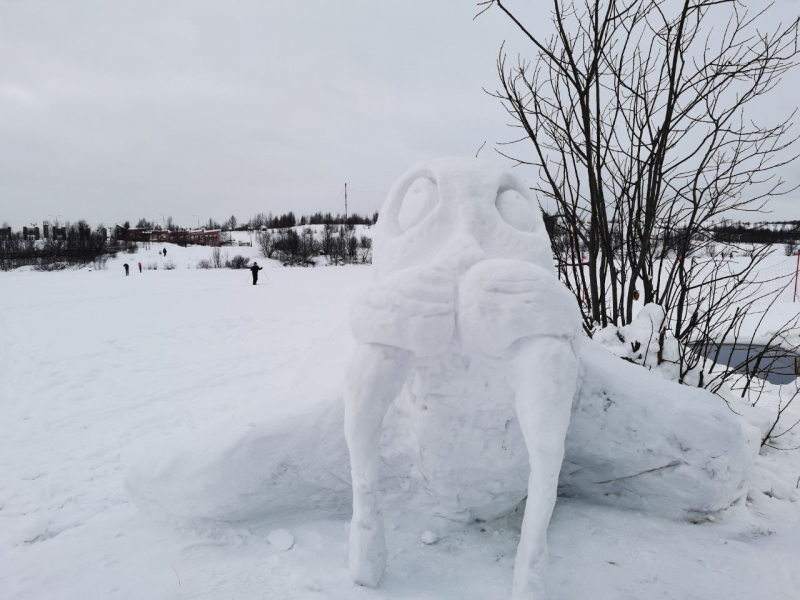 Морж