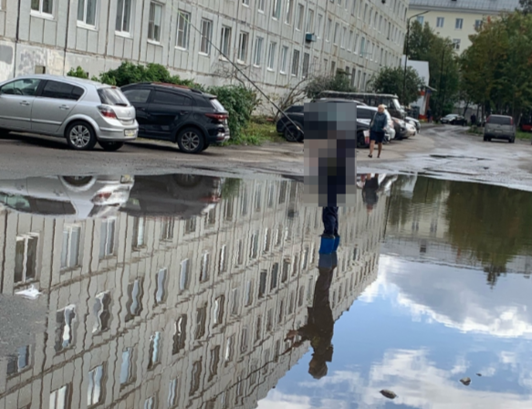 Картина во дворе в Мурманске развеселила северян Картина во дворе в Мурманске развеселила северян