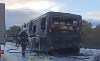В Мурманской области полностью сгорел пассажирский автобус Автобус