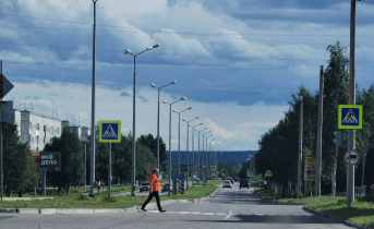 «Предупредите родителей». Северянам рассказали о новом виде мошенничества Пешеходный переход