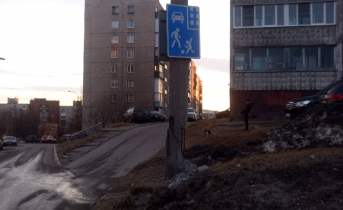 Мурманчан предупредили об опасности в одном из дворов города Столб
