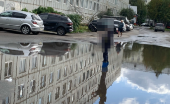 Картина во дворе в Мурманске развеселила северян Картина во дворе в Мурманске развеселила северян