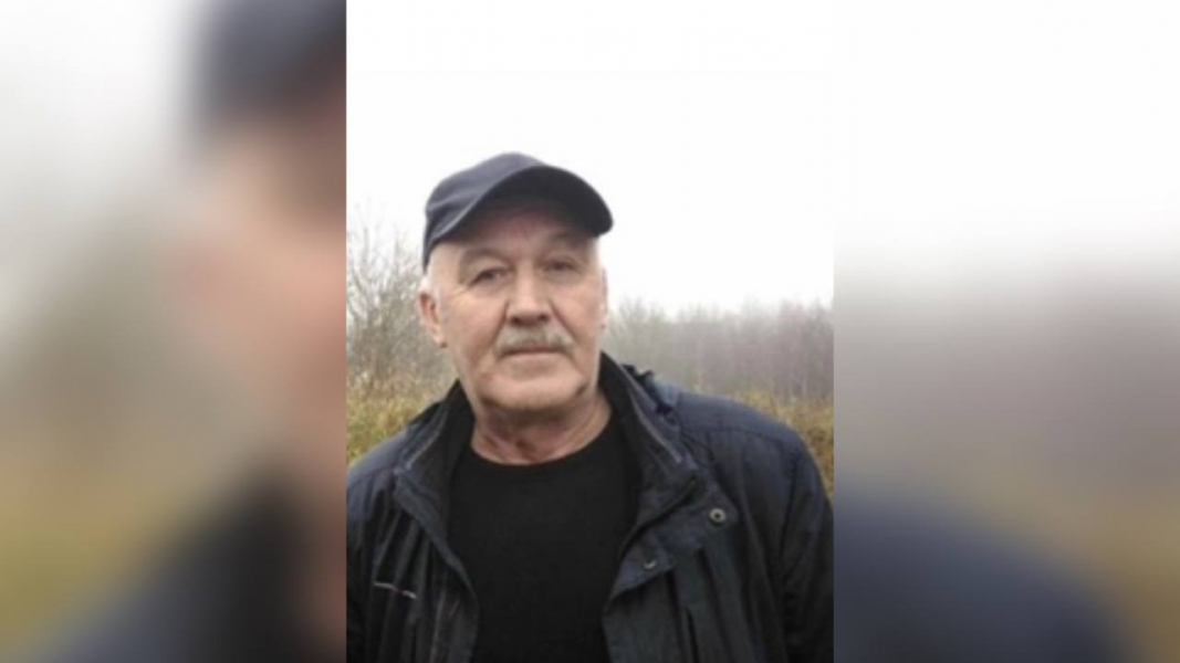 В Мурманской области пол года ищут без вести пропавшего пенсионера Пропал человек