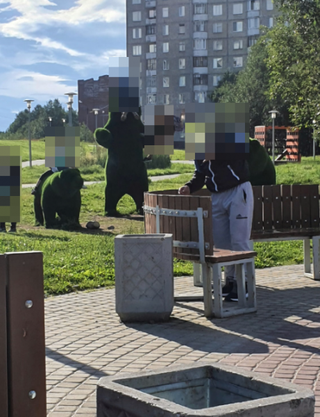 «Сердце кровью обливается». Поступок детей в Мурманской области возмутил северян Зона отдыха