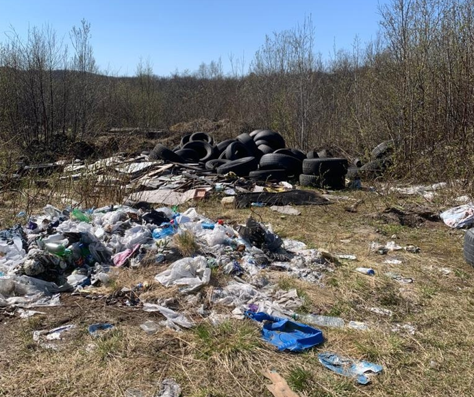 Территорию у озера в Мурманске превратили в свалку Свалка
