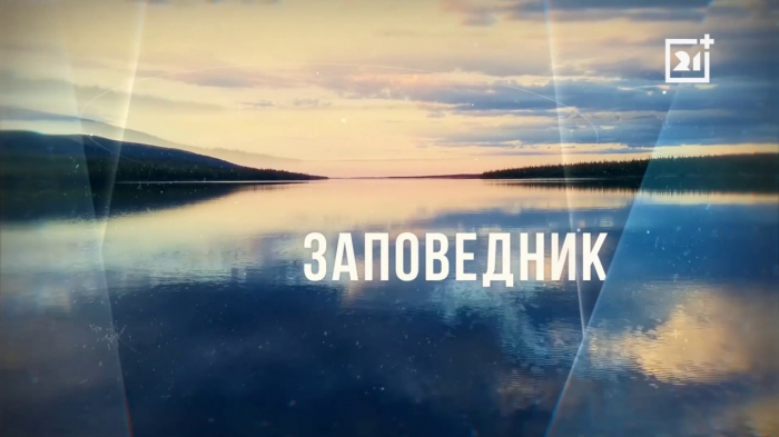 Заповедник: Орнитологический фестиваль в Пасвике 2026