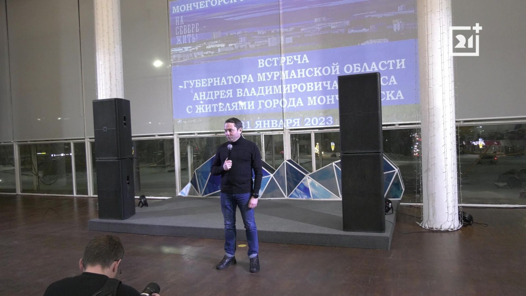 Чибис в Мончегорске