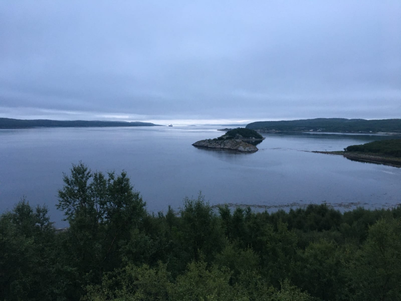 Лес