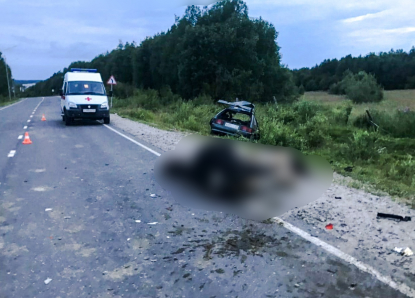 Сбившему трех коров водителю вынесли приговор в Мурманской области Дорога