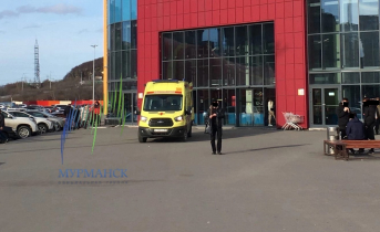 В Мурманске прокомментировали историю с пострадавшим в торговом центре ребенке Торговый центр