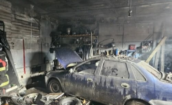 В Мурманской области при пожаре погибла собака