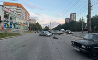 В Мурманске сбили электросамокатчика В Мурманске сбили электросамокатчика