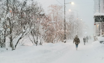 Метель