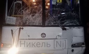 Соцсети: пассажирский автобус сбил лося на трасе Мурманской области ДТП
