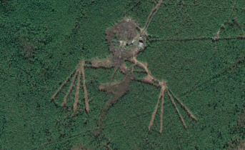 На карте Мурманской области нашли огромного паука, фото Карта