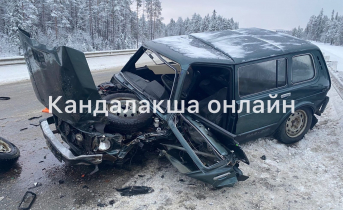 Стали известны подробности страшной массовой аварии на трассе в Мурманской области ДТП