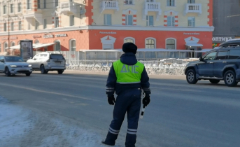 Рейд в Мурманске Инспектор ГИБДД