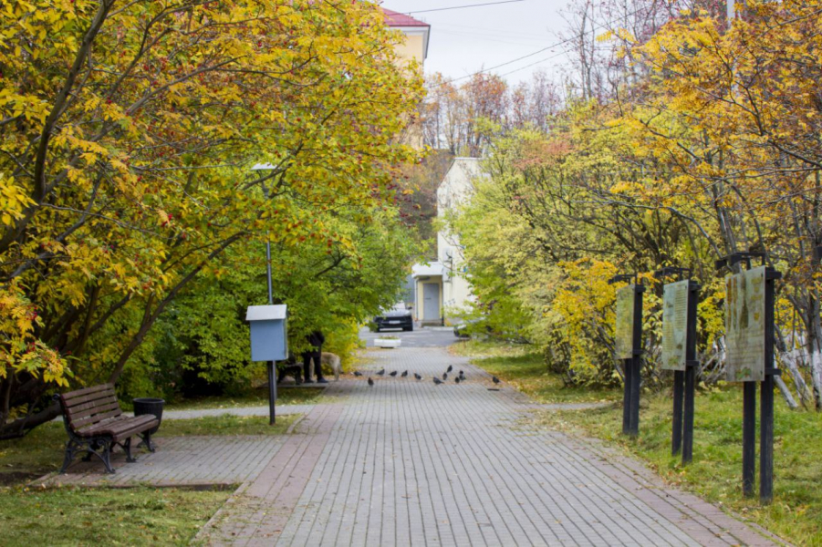 В Мурманске пройдёт мастер-класс город