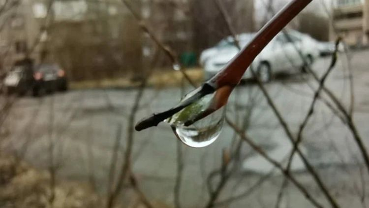 На Мурманскую область обрушится дождь со снегом Дождь