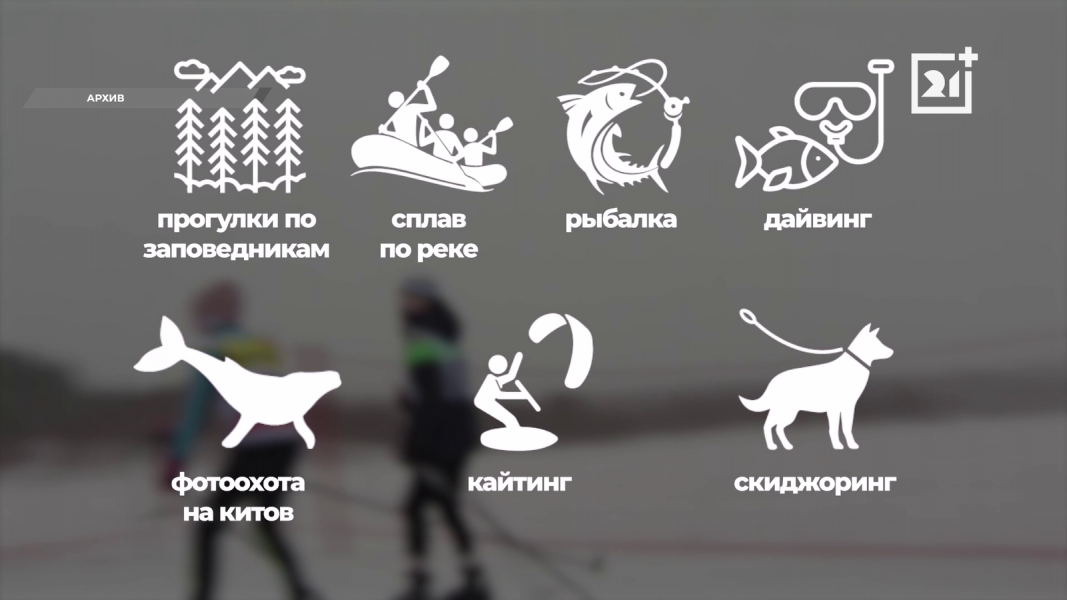 Северянам рассказали, чего ждать летом в Мурманской области Программа