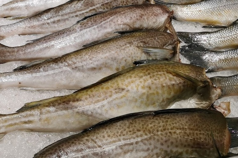 Рыба