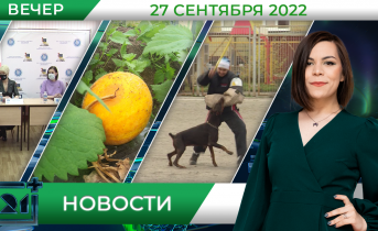 Полное видео программы «Новости» Полное видео программы «Новости»