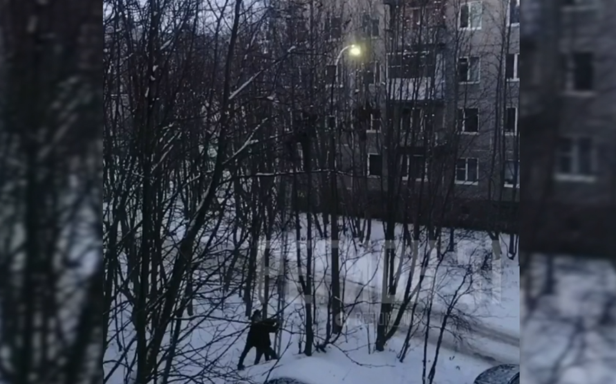 Спасение голубя Люди