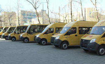 Новые школьные автобусы