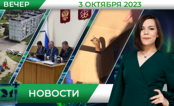 Полное видео программы «Новости» Новости