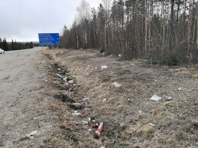 Водители устроили свалку у трассу Горы мусора