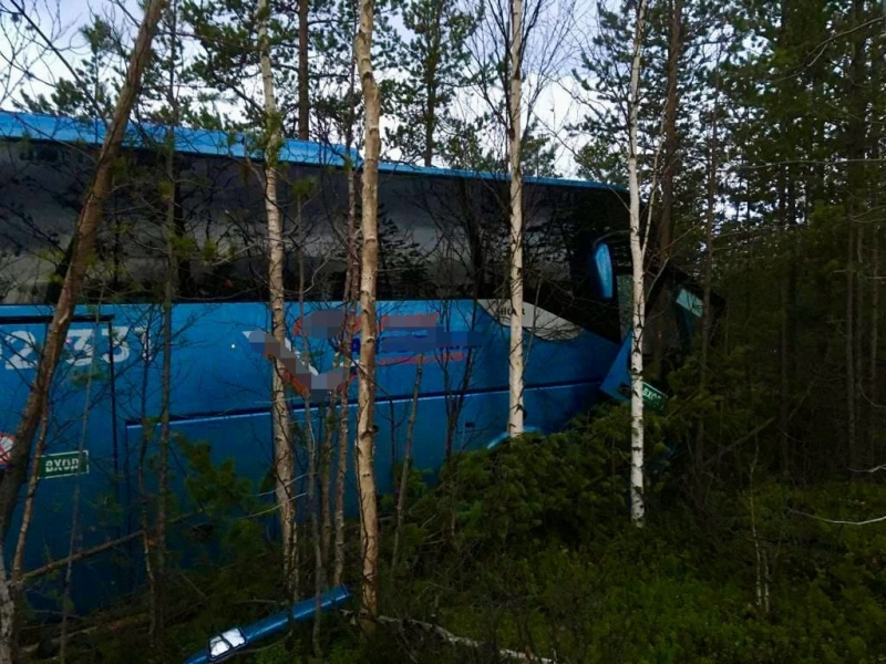 Автобус с пассажирами съехал в кювет в Мурманской области ДТП