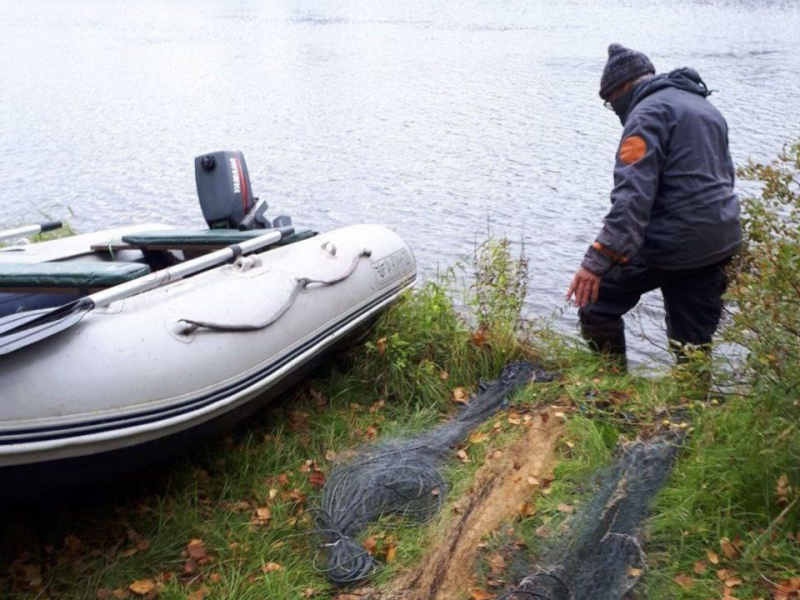 Рыбалка