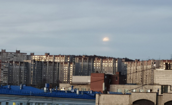В мурманском магазине нашли запрещенные товары Мурманск