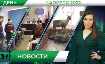 Полное видео программы «Дневные новости» Полное видео программы «Дневные новости»