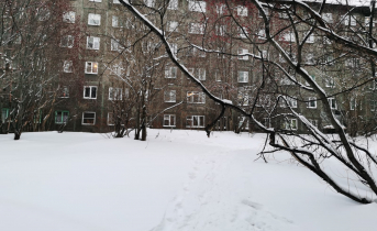 В Мурманске мужчина отправил на больничную койку жену-пенсионерку из-за освещения Дом