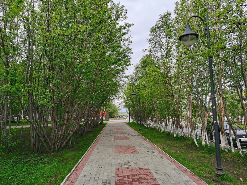 Парк