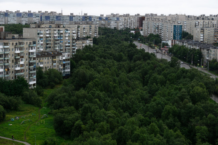 На северянку оформили микрозайм. Возбуждено уголовное дело Город