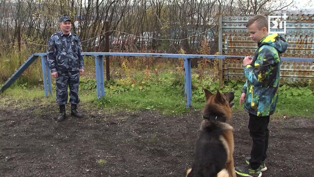 Кинолог