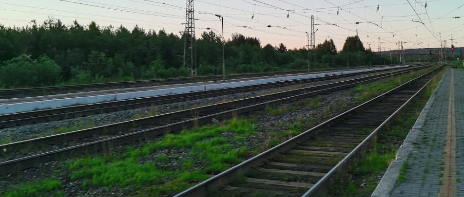 Сбежавшего из Мурманской области 29-летнего преступника поймали на Ладожском вокзале Рельсы