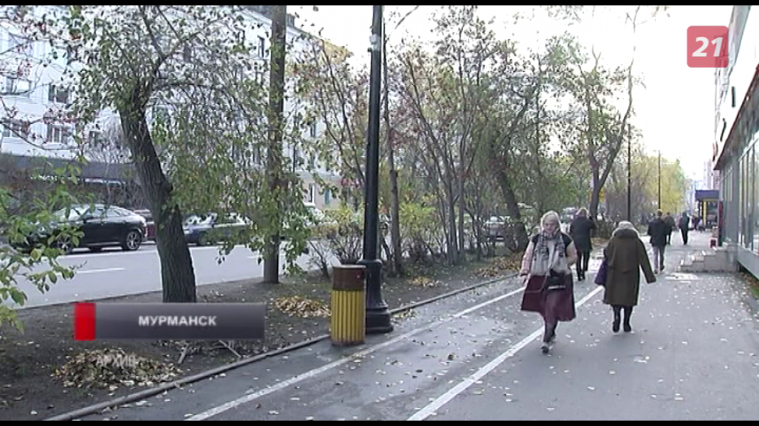 Мурманчане потребовали прекратить массовую вырубку деревьев в городе Мурманск