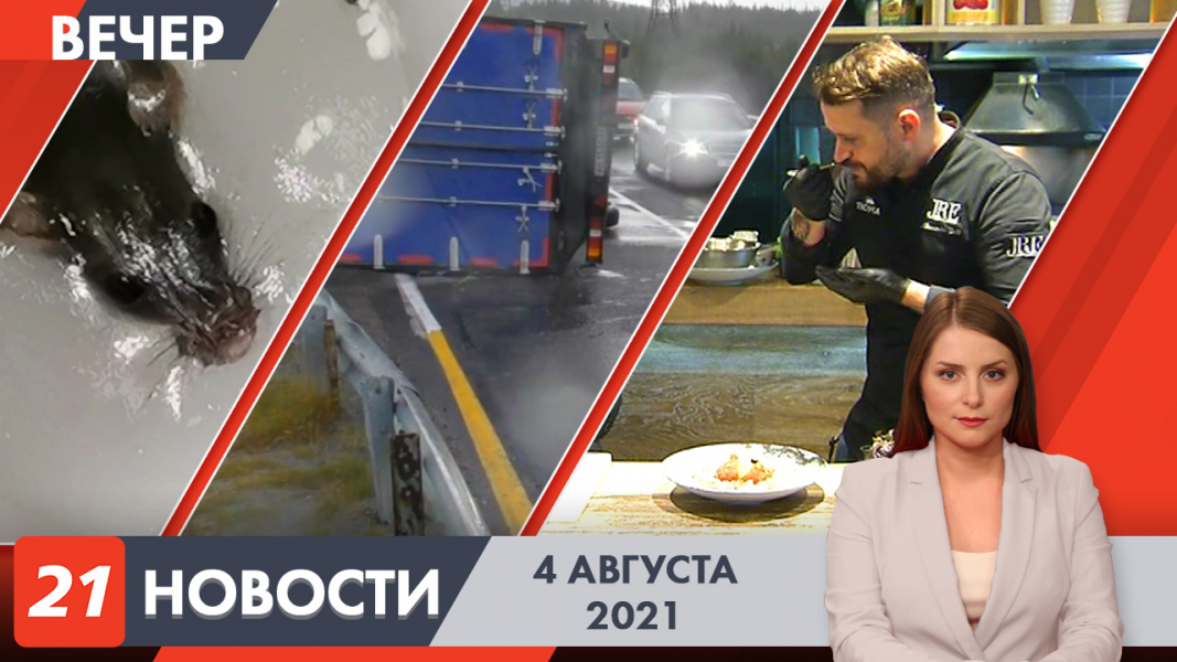 Вечерние новости