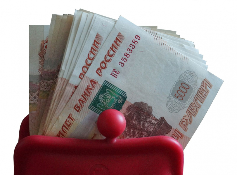 В Мурманской области выявили нарушения при выплате детских пособий Деньги