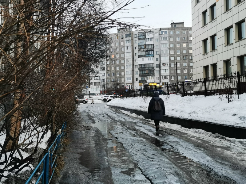 22-летняя девушка бесследно исчезла в Мурманске Девушка