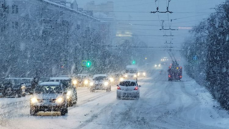 Участники популярного шоу приехали в столицу Заполярья Мастер-класс