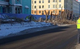 Появилось объяснение спила деревьев в центре Мурманска Появилось объяснение спила деревьев в центре Мурманска